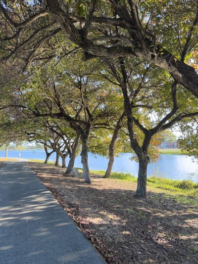 2381 Sunset Avenue, Unit 414, Lake Worth Beach, FL 33461 Photo