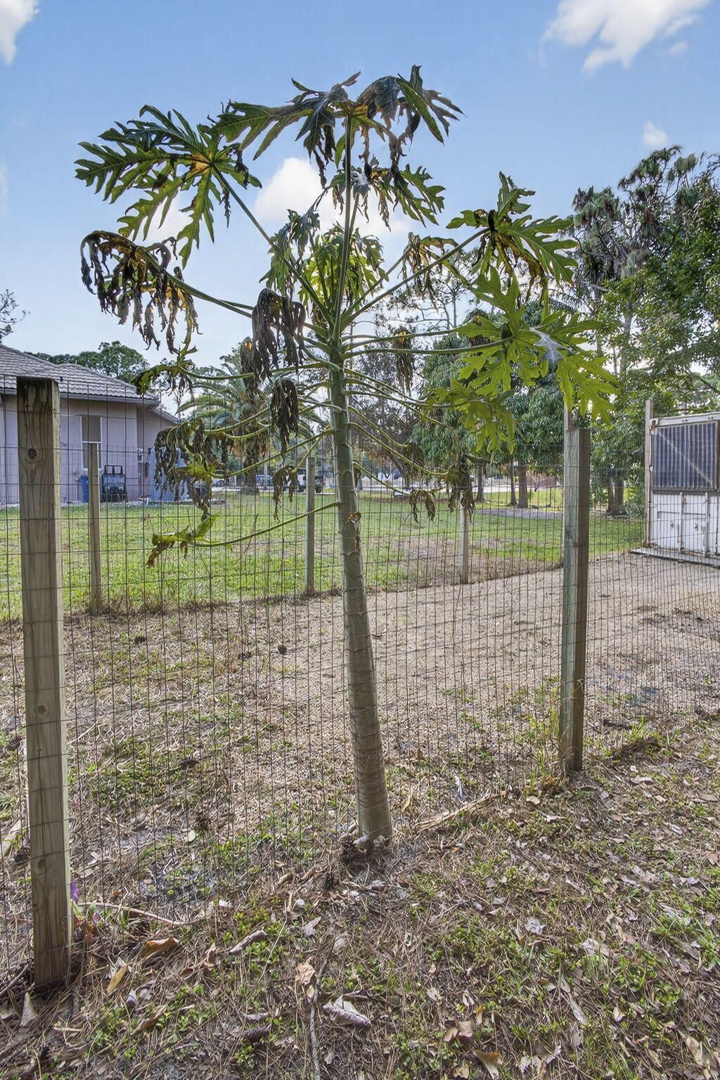 16107 86th Street N, Loxahatchee, FL 33470 Photo