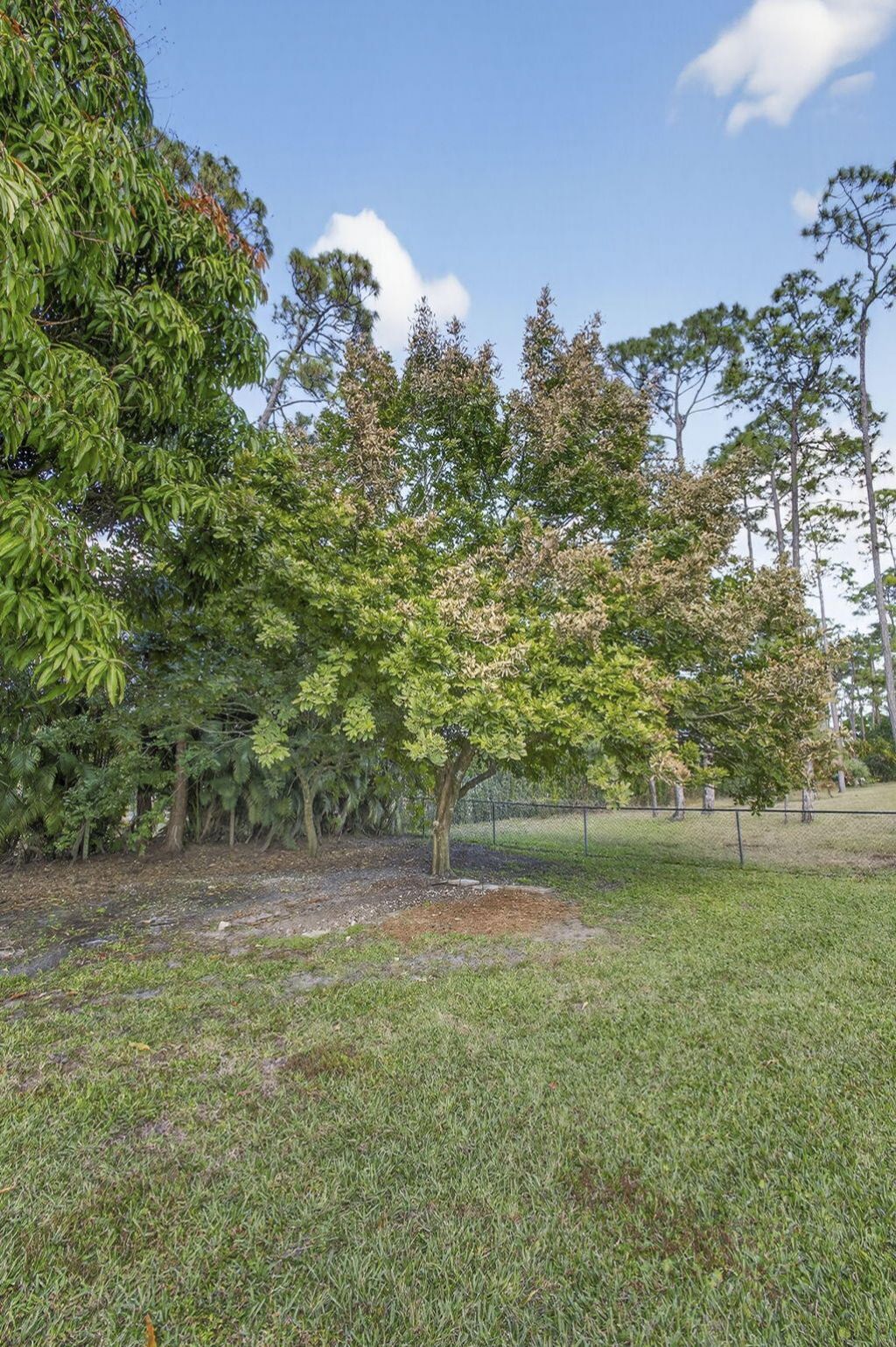 16107 86th Street N, Loxahatchee, FL 33470 Photo
