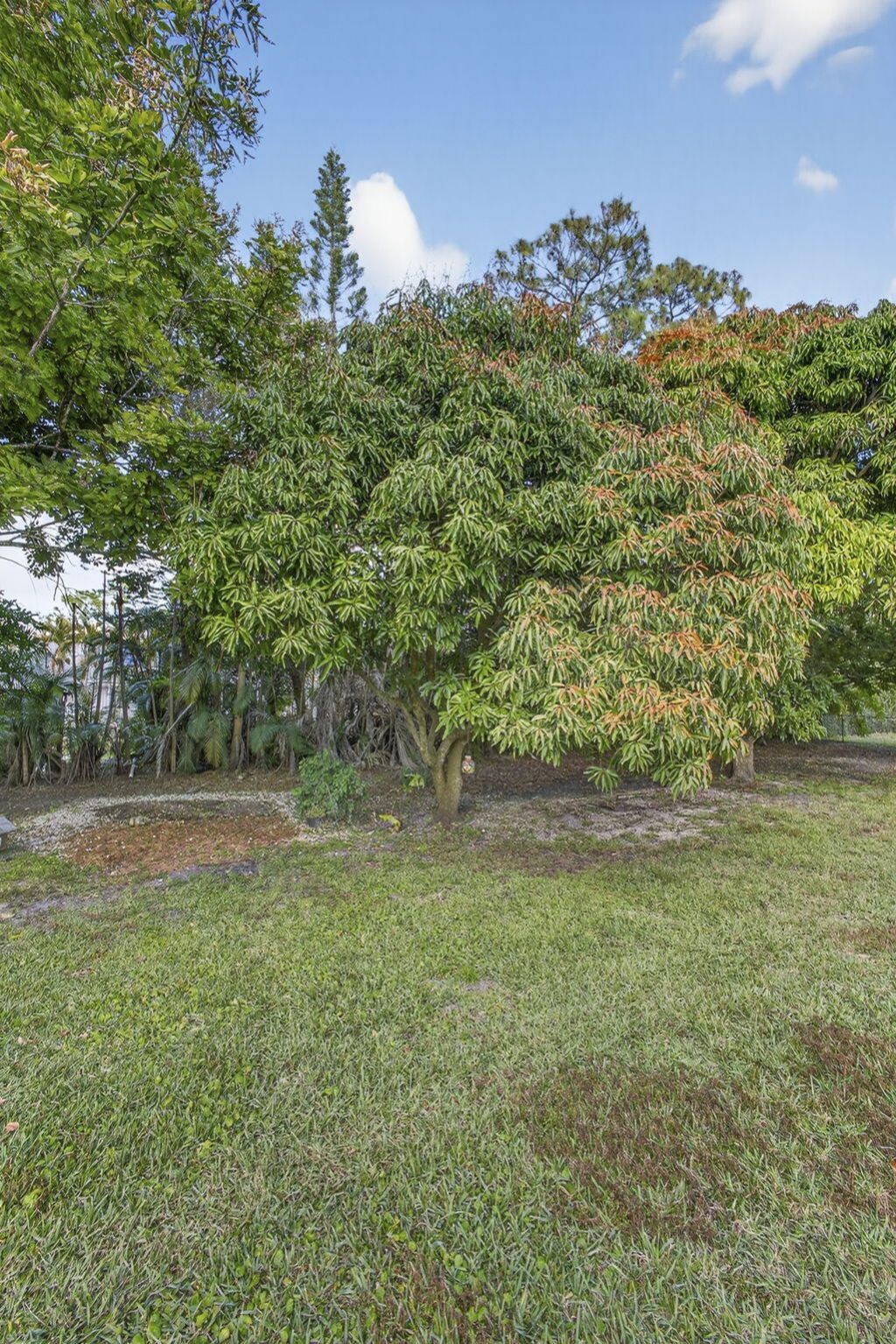 16107 86th Street N, Loxahatchee, FL 33470 Photo