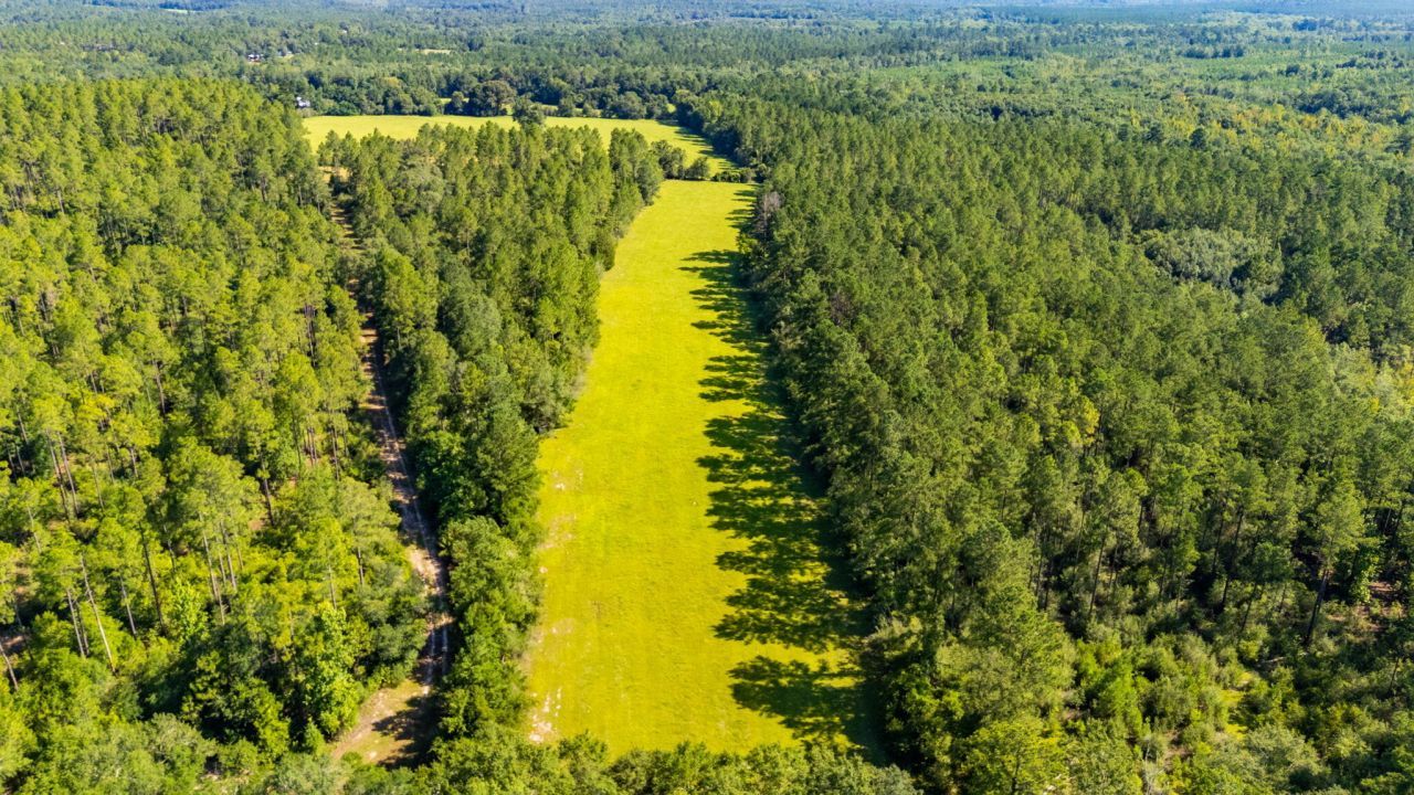 0 Yorkey Road, Westville, FL 32464 Main Photo