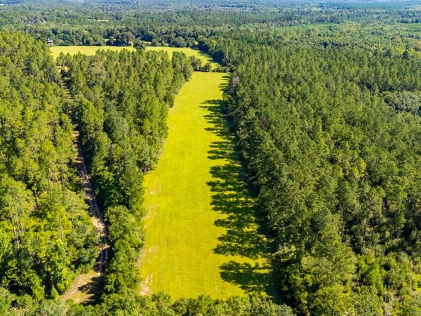 0 Yorkey Road, Westville, FL 32464