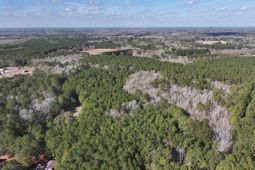 0 Snowy River Place photo 4