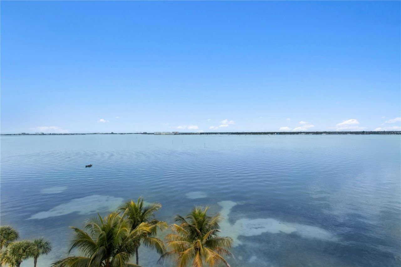 4981 Bacopa Lane S, Unit 703, Saint Petersburg, FL 33715 Photo