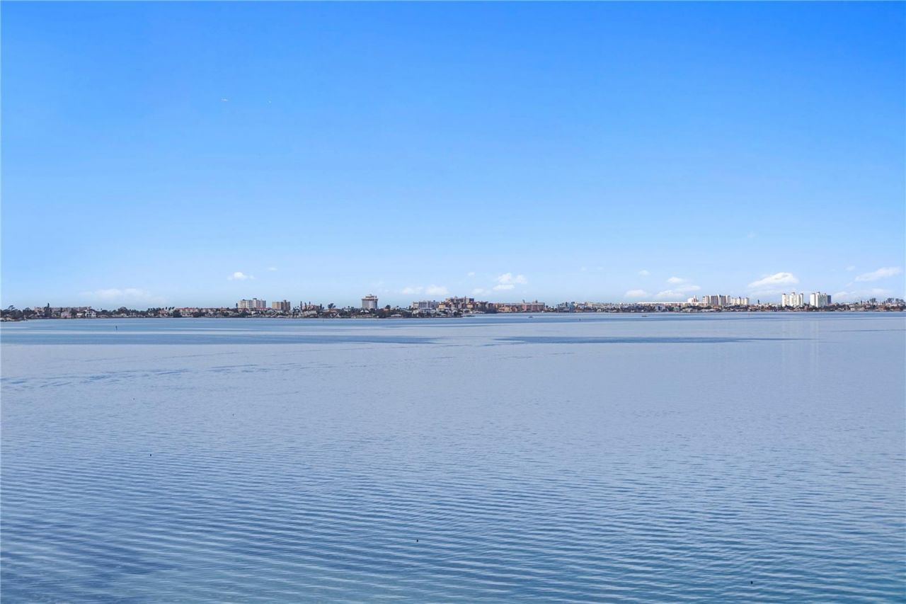 4981 Bacopa Lane S, Unit 703, Saint Petersburg, FL 33715 Photo