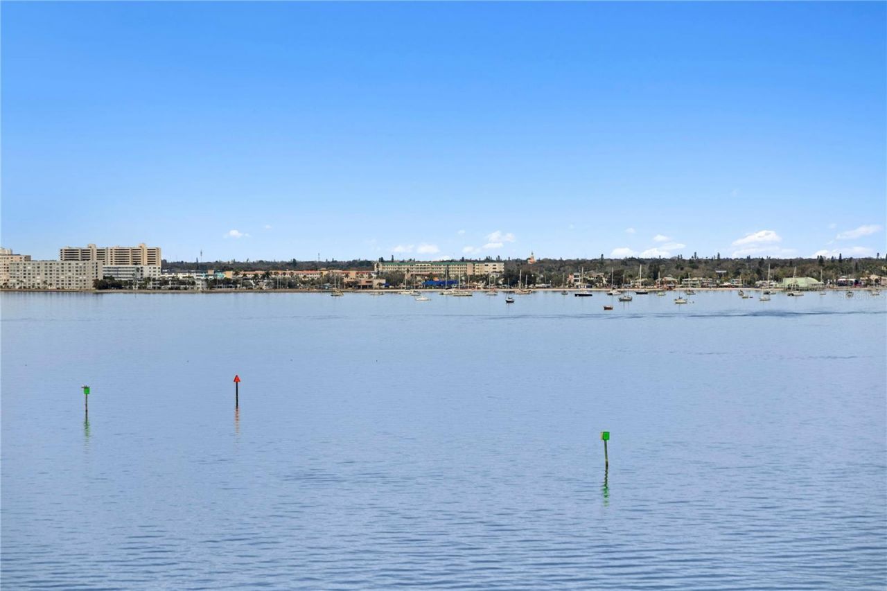 4981 Bacopa Lane S, Unit 703, Saint Petersburg, FL 33715 Photo