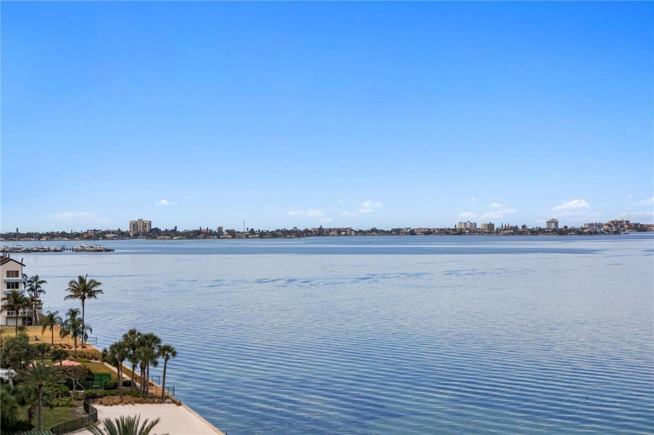 4981 Bacopa Lane S, Unit 703, Saint Petersburg, FL 33715 Photo