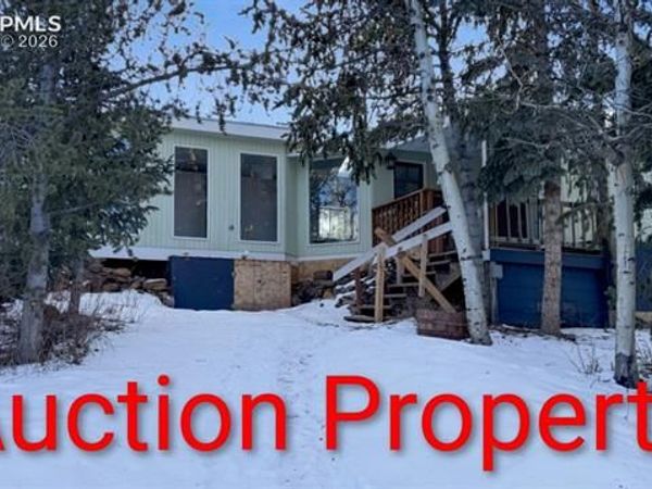 10104 S Highway 67, Divide, CO 80814