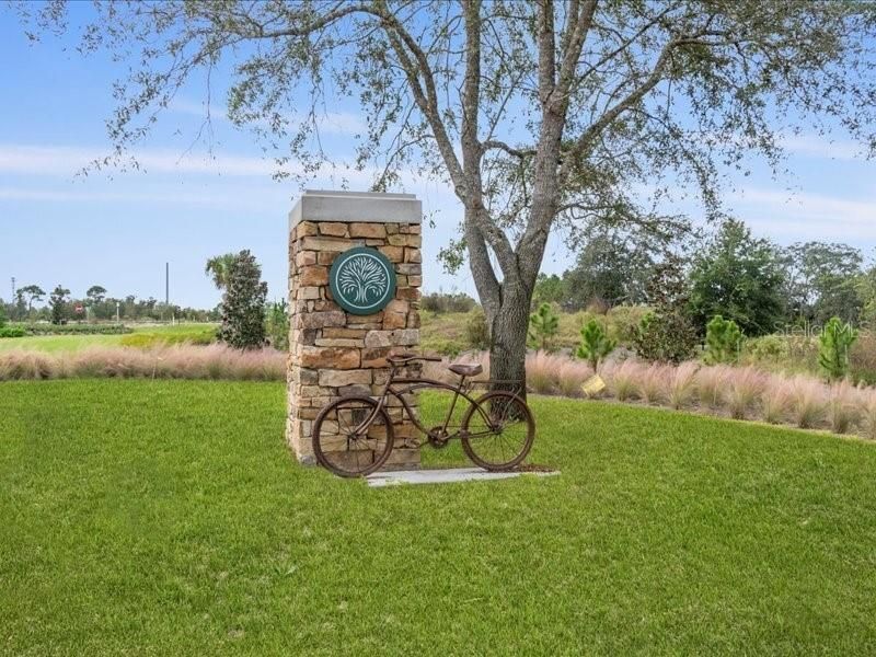 1911 Beach Terrace, Celebration, FL 34747 Photo