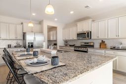 708 Plumage Ct.  photo 4