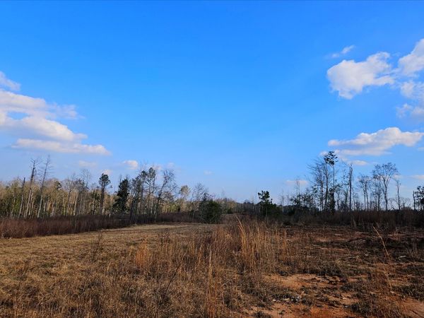00 Hwy 35, Collins, MS 39428