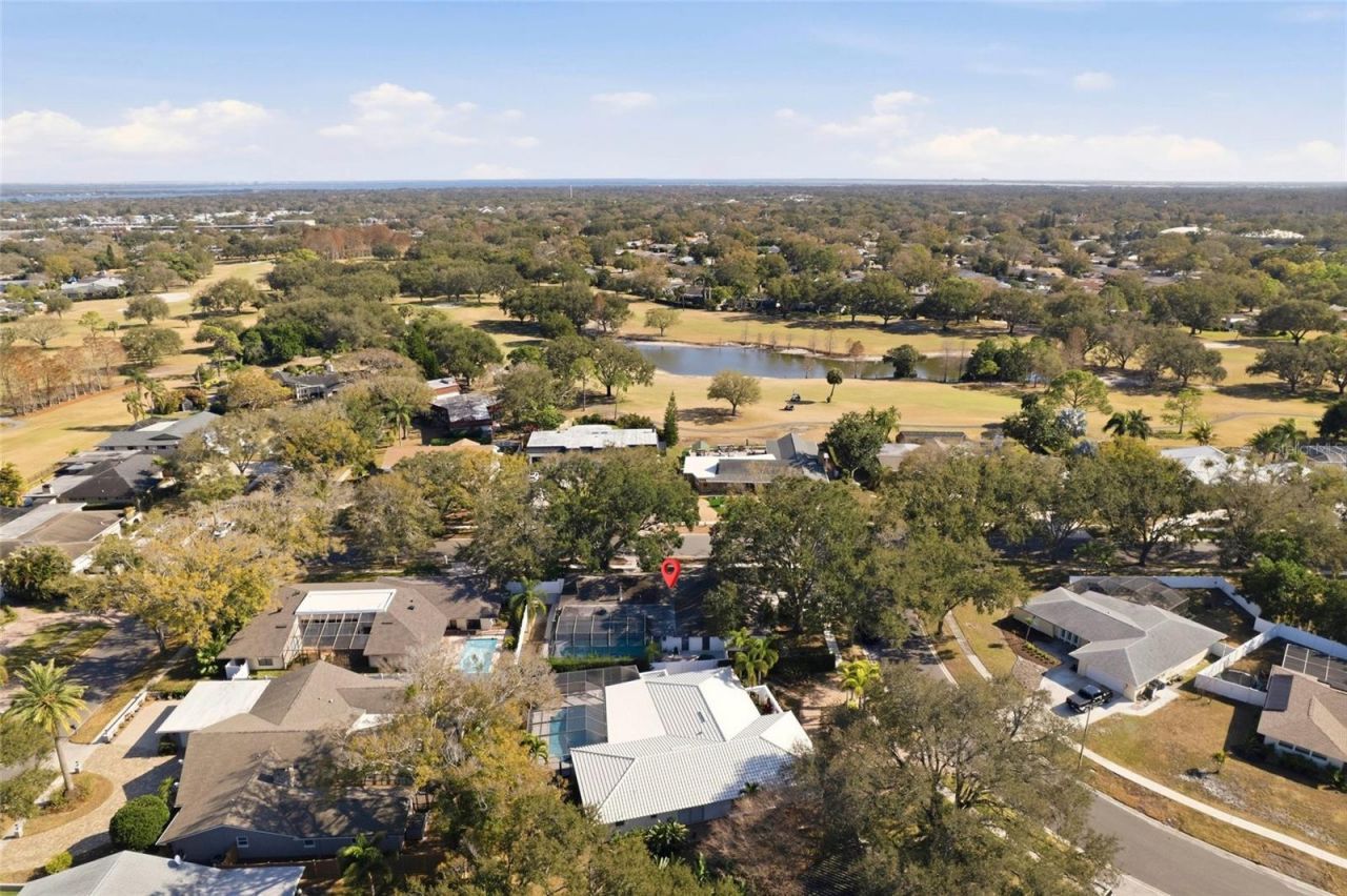 2770 Westchester Drive S, Clearwater, FL 33761 Photo