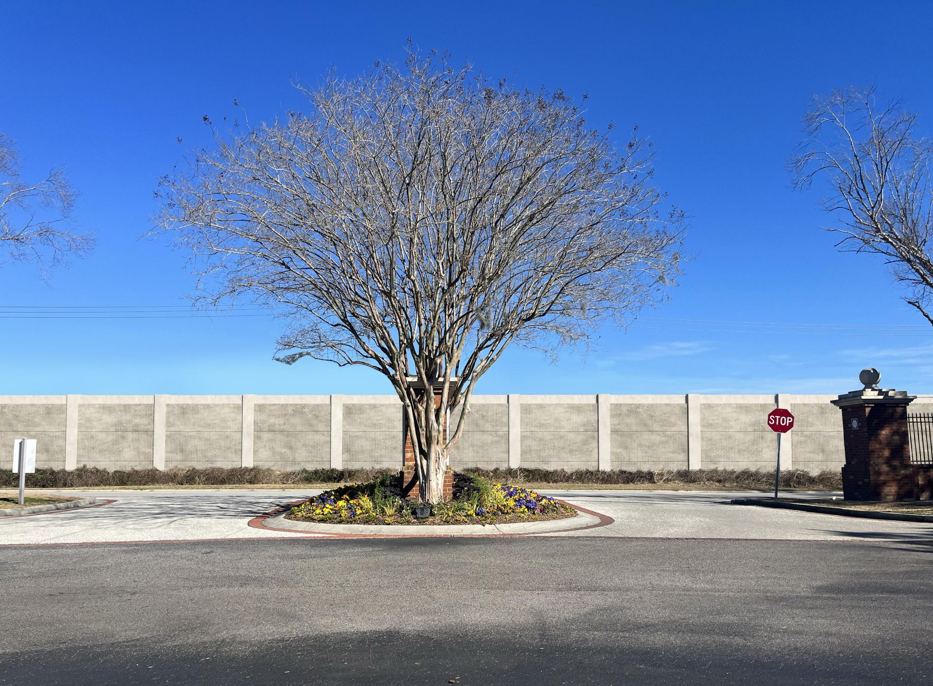 169 Historic Drive Photo 23