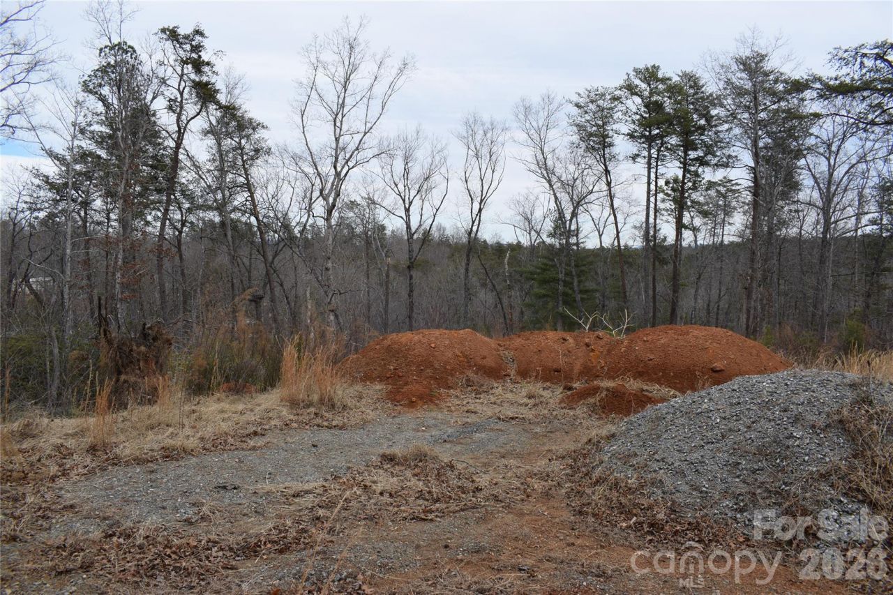 172 Winter Lane, Mill Spring, NC 28756 Main Photo