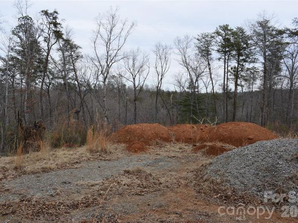 172 Winter Lane, Mill Spring, NC 28756