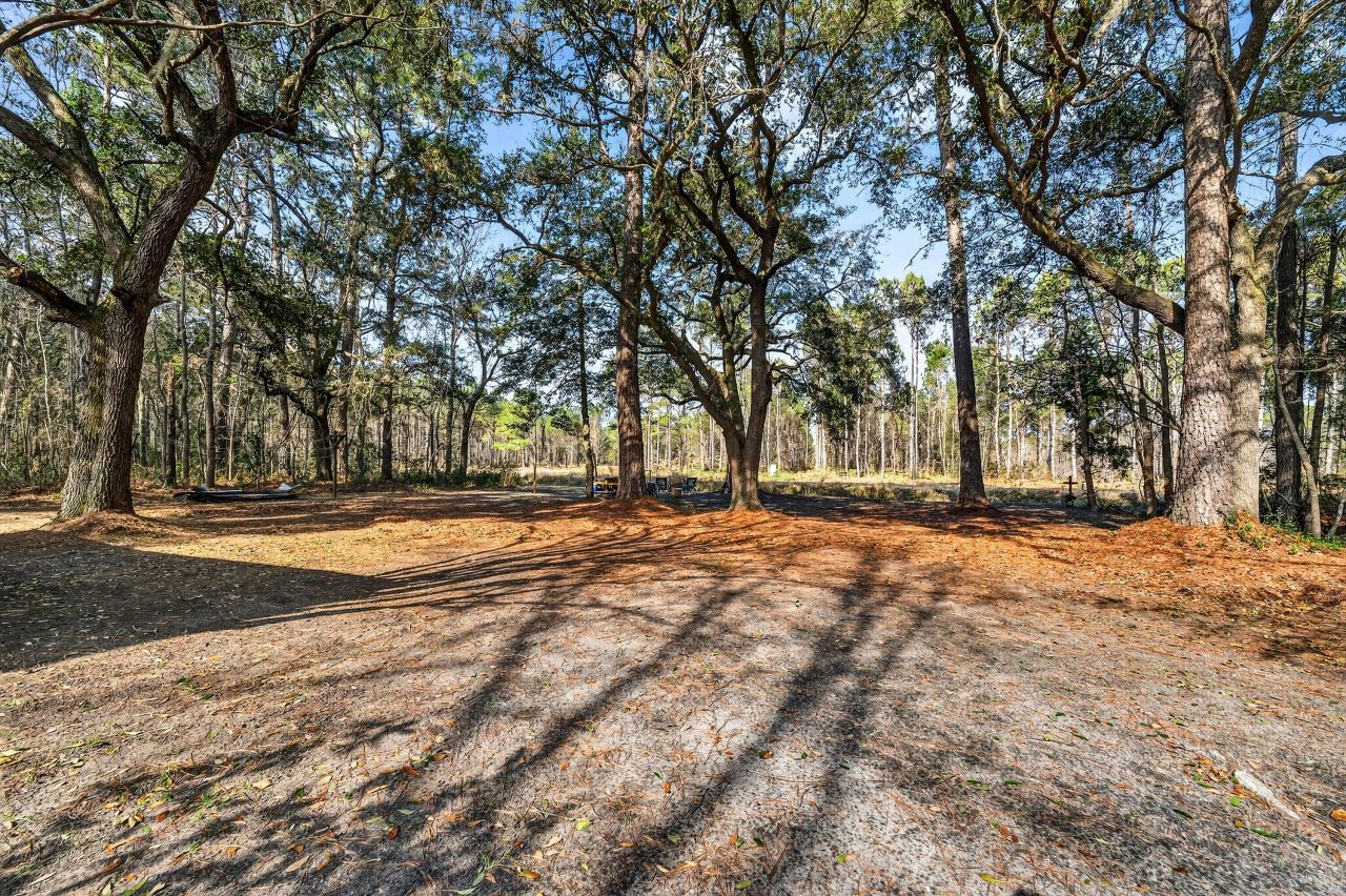 9994 N Highway 17 Photo 26