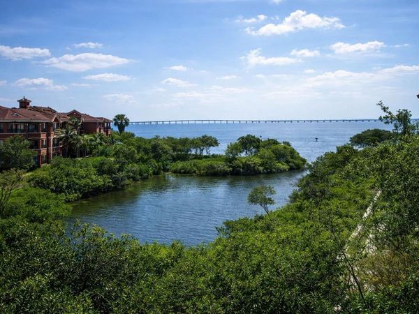 2724 VIA MURANO, Unit 639, CLEARWATER, FL 33764