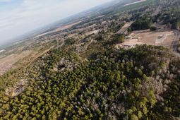 00 Thomas Road photo 4