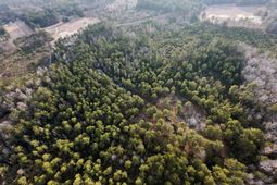 00 Thomas Road photo 4