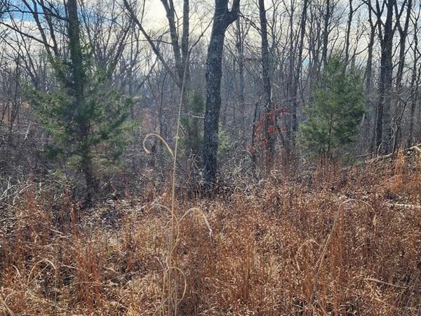 000 Magnolia Ln, Holladay, TN 38341