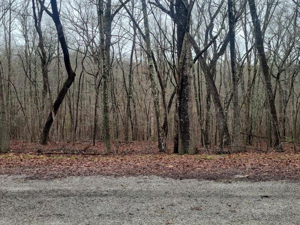 19 Ashford Place, Crossville, TN 38558