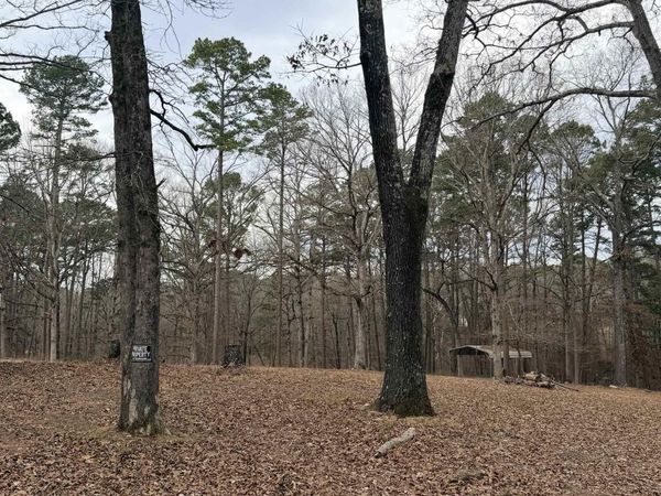3991 Mcgee Road, Benton, AR 72019