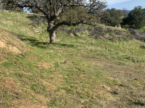 27833 Buckeye Canyon Road, Keene, CA 93531