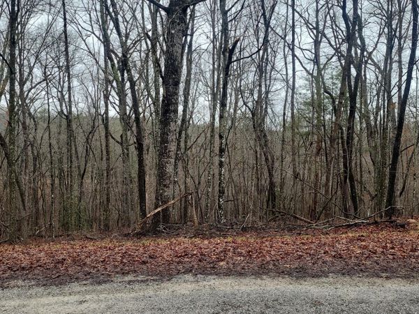 21 Ashford Place, Crossville, TN 38558