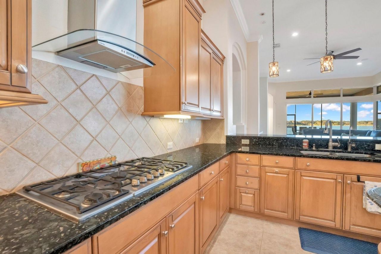 3040 Highlands By The Lake Way, Lakeland, FL 33812 Photo