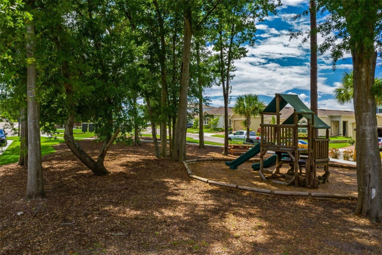 1985 Mountain Pine Street, Ocoee, FL 34761 Photo