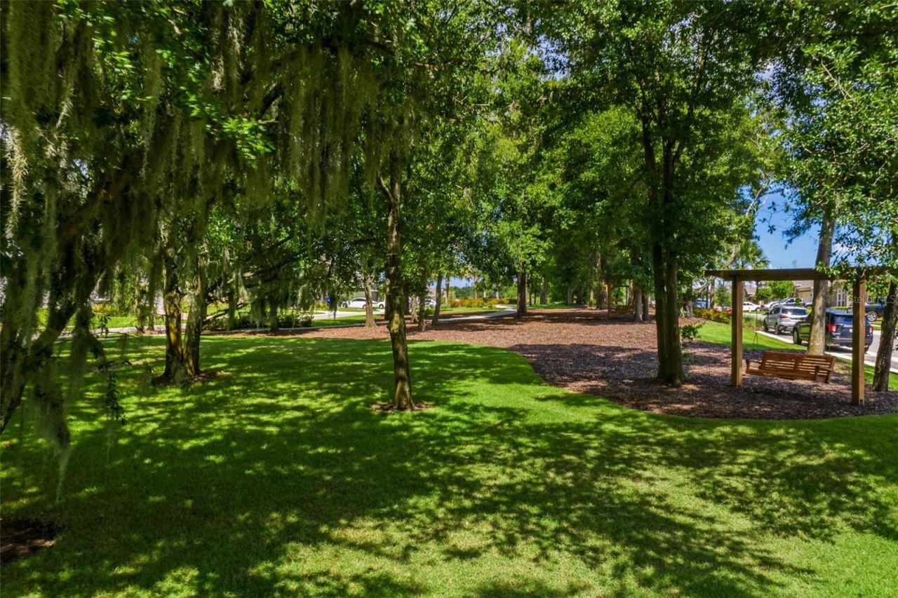 1985 Mountain Pine Street, Ocoee, FL 34761 Photo