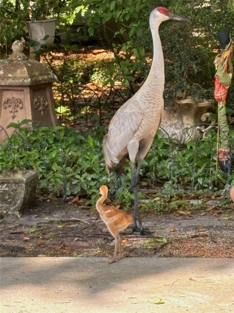 7718 Flemingwood Court, Sanford, FL 32771 Photo