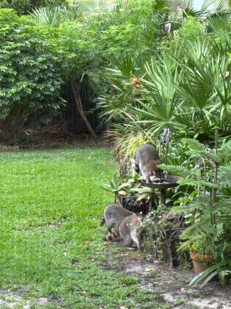 7718 Flemingwood Court, Sanford, FL 32771 Photo