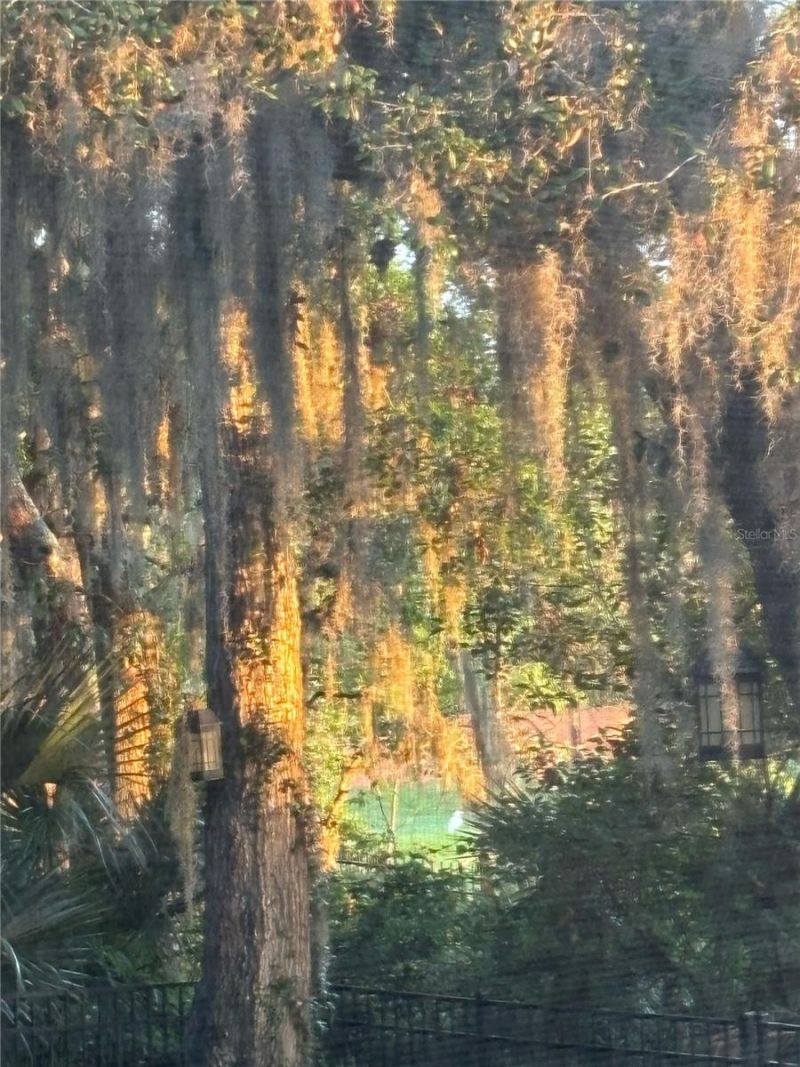 7718 Flemingwood Court, Sanford, FL 32771 Photo