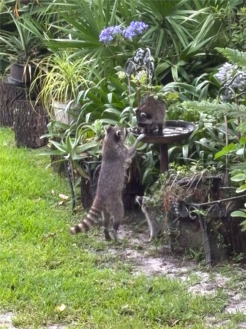 7718 Flemingwood Court, Sanford, FL 32771 Photo