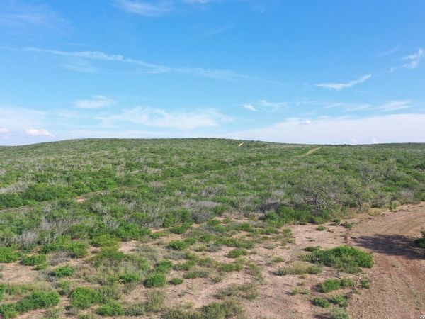 00 FM 140, Pearsall, TX 78061