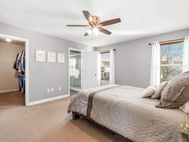 7253 Normanton Drive, New Albany, OH 43054 Photo 18