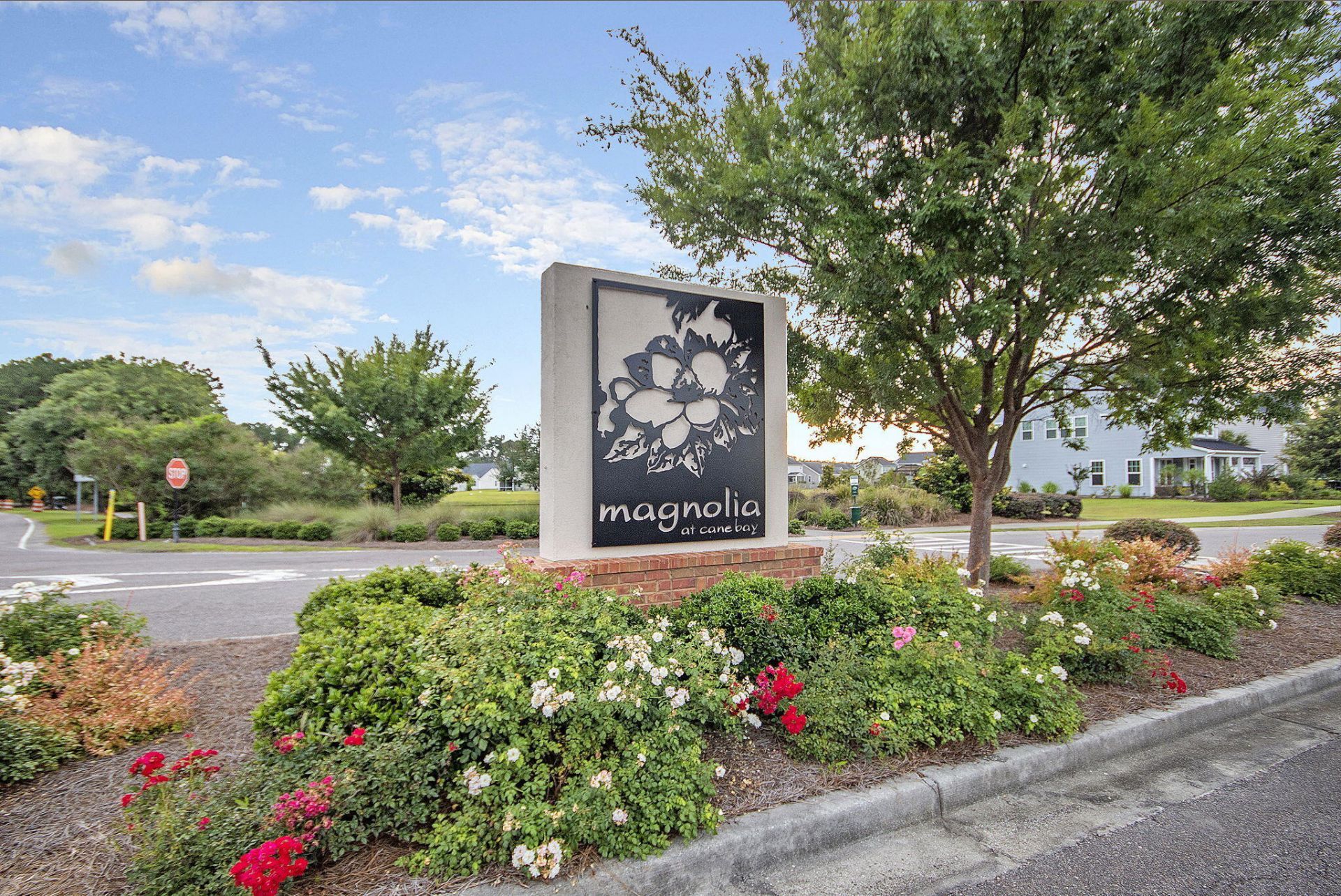 219 Daybreak Boulevard Photo 53