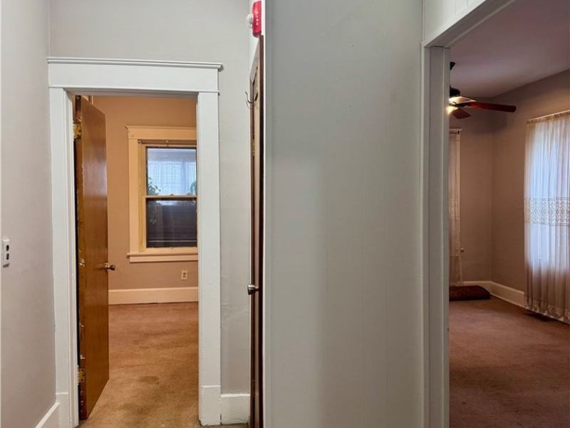 321 Randolph Street, Youngstown, OH 44509 Photo 8