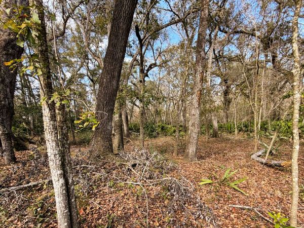 TBD 292ND LOT 14-17, Branford, FL 32008