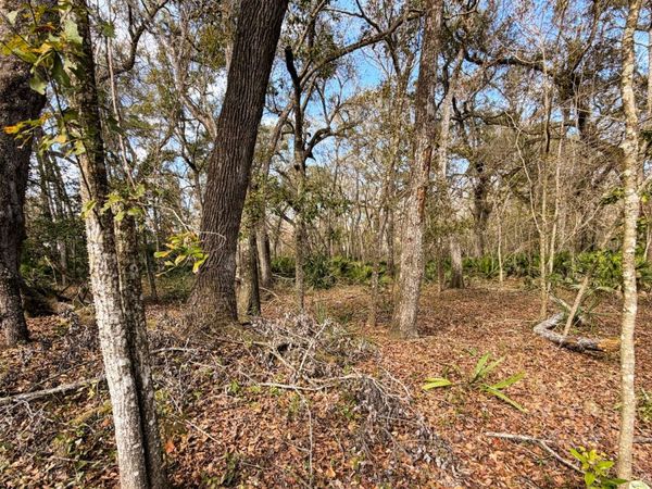 TBD 292ND ST LOT 15, Branford, FL 32008