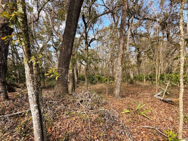 TBD 292ND ST LOT 16, Branford, FL 32008