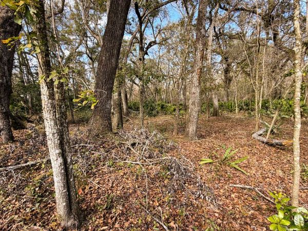 TBD 292ND ST. LOT 16-17, Branford, FL 32008