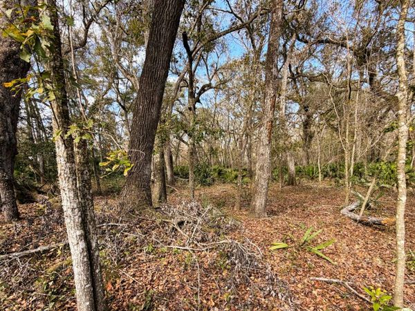 TBD 292ND ST. LOT 17, Branford, FL 32008