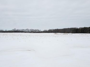 TBD Park Trail, Center City, MN 55012