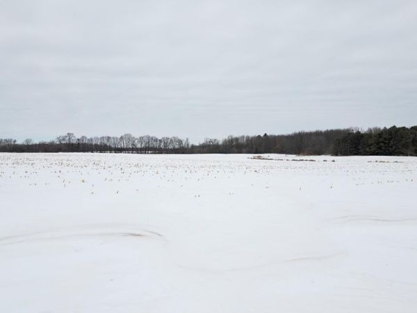 TBD Park Trail, Center City, MN 55012