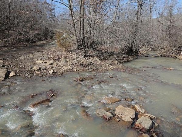 3285 Madison CR 3205 , Pettigrew, AR 72752