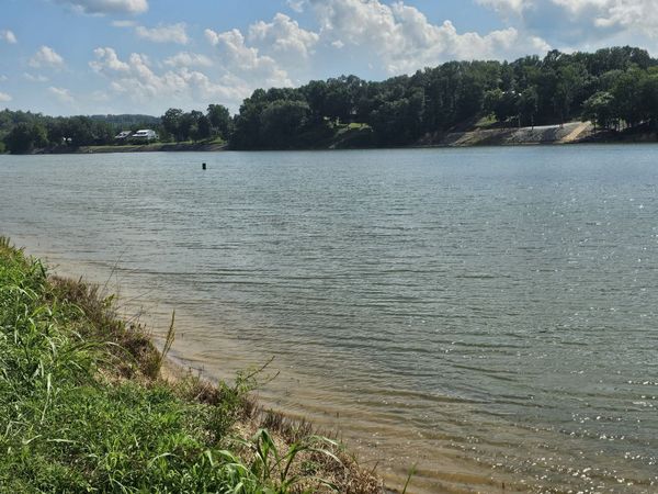 1901 Hardin Bottom River Rd, Clifton, TN 38425