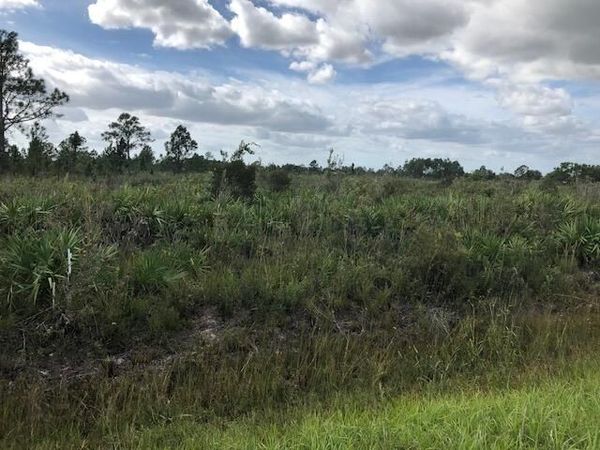 Nnne Undetermined, Ocala, FL 34473