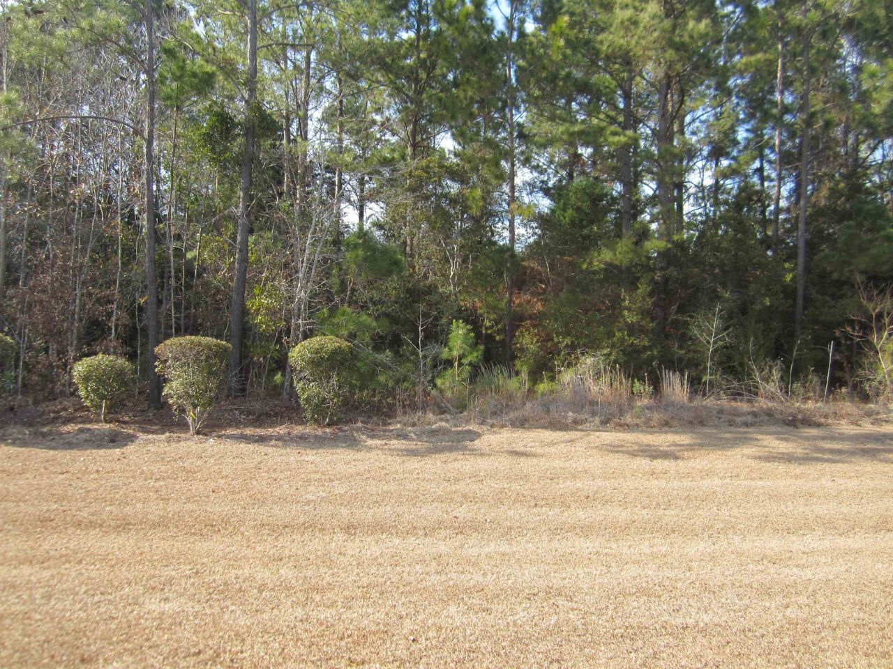 5452 Knobcone Loop Photo 35